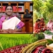 President Murmu Nuakhai greetings