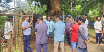 Rayagada cow slaughter investigation