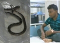 Mayurbhanj snakebite incident