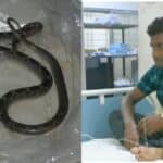 Mayurbhanj snakebite incident