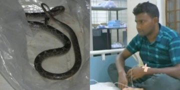 Mayurbhanj snakebite incident