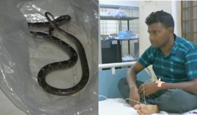 Mayurbhanj snakebite incident