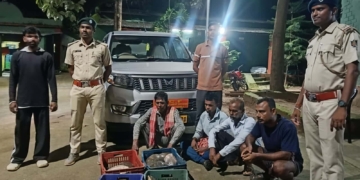55 turtles seized in Malkangiri