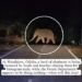‘This Is Harassment, Not Tourism’! Odisha Elephants Chased by Crowds for Social Media Videos