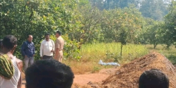 Elderly Man Murdered Nabarangpur
