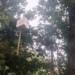 ISRO weather device falls in Odisha