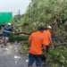 Cyclone Arnab ODRAF rescue