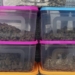 Customs Seizes 8.5 kg Marijuana at Bhubaneswar Airport; Three Detained