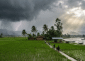 Odisha Weather