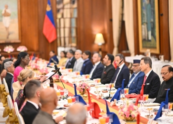 India Liechtenstein bilateral relations