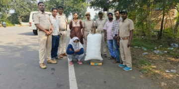 Interstate Ganja Smuggling Kandhamal