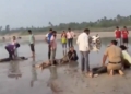 Tragedy at Diveagar Beach: 8 Students Drown During Coaching Institute Picnic
