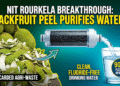 NIT Rourkela jackfruit peel water purifier