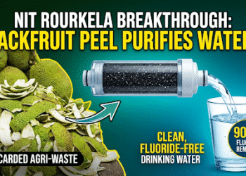 NIT Rourkela jackfruit peel water purifier