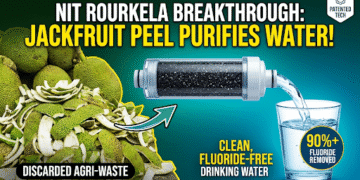 NIT Rourkela jackfruit peel water purifier