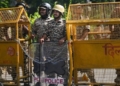 India Rejects UN Human Rights Office Remarks Over Delhi Protests and CJP Detentions as 'Misplaced'