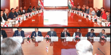 India UK Science and Innovation Council