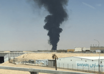 Houthi Egypt declaration of war