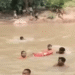 Gajapati woman drowns in river
