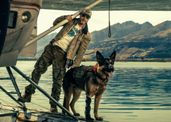 Heart of the Beast box office worldwide