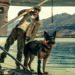 Heart of the Beast box office worldwide