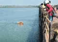 Boudh Mahanadi Bridge Youth Rescue
