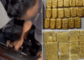 DRI gold smuggling Bangladesh border