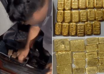 DRI gold smuggling Bangladesh border
