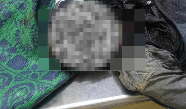 Kantabanji Bear attack youth killed
