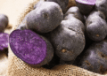 ICAR-CPRI Biofortifies Purple Potato to Combat Hidden Hunger with Nutrient-Dense Kufri Jamunia