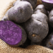 ICAR-CPRI Biofortifies Purple Potato to Combat Hidden Hunger with Nutrient-Dense Kufri Jamunia