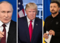 Russia Ukraine US UAE peace talks