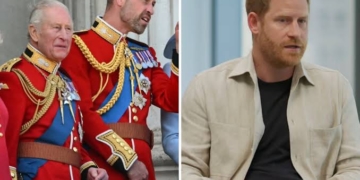 "I Want It to Work Out": Prince Harry Calls for Royal Family Reconciliation, Emphasizes Healing Strained Ties
