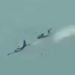 PAF training crash