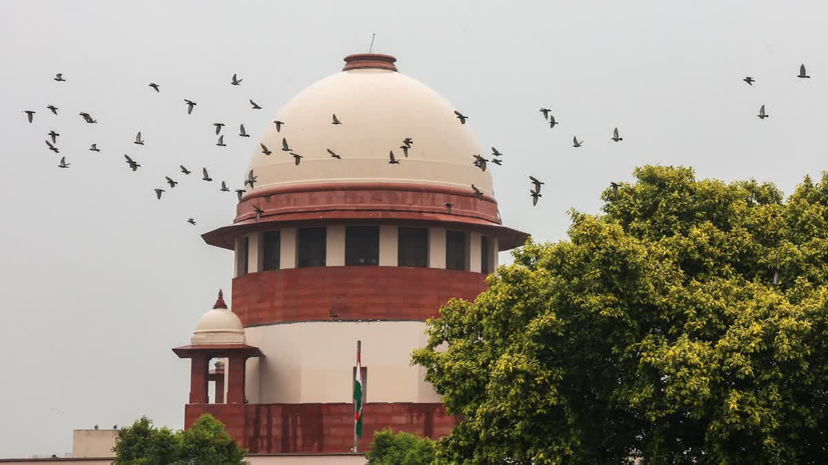 Hope Better Sense Will Prevail : Supreme Court Refuses Urgent Order Against CJP Connaught Place March