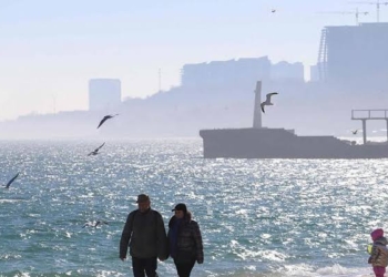 West Asia Conflict: India Confirms 22 Nationals Killed Since February, Including 14 Seafarers