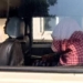 Bhubaneswar gunpoint rape case