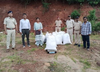 Kalimela police ganja seizure