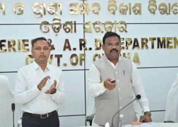 Commercial Layer Farming Scheme Odisha