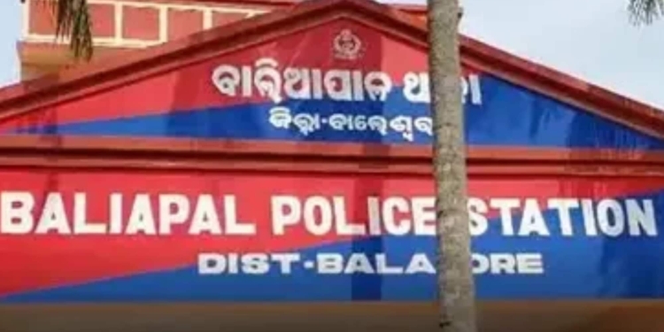 Baleshwar brothers drown