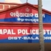 Baleshwar brothers drown