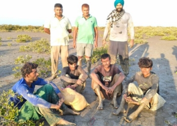 BSF Apprehends 4 Pakistani
