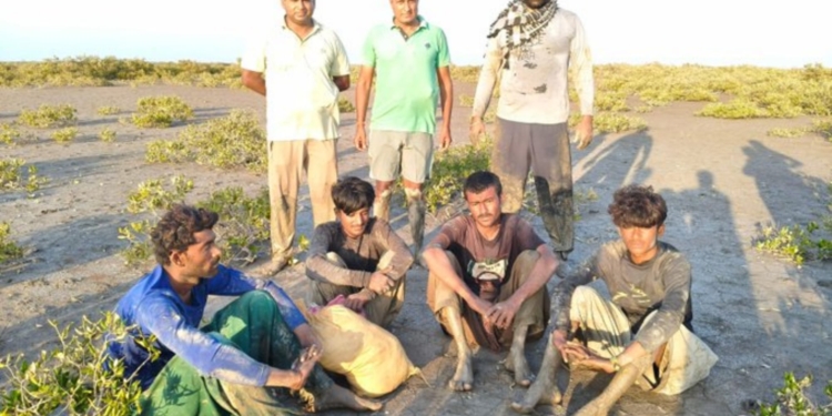 BSF Apprehends 4 Pakistani