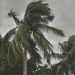 ​Cyclone Arnab Weakens into Deep Depression over South Odisha; IMD Issues Red and Orange Alerts for Severe Rainfall