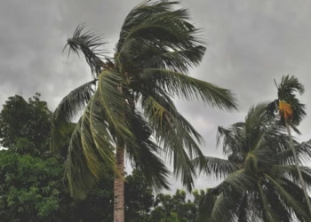 Cyclone Arnab Weakens into Deep Depression over South Odisha; IMD Issues Red and Orange Alerts for Severe Rainfall