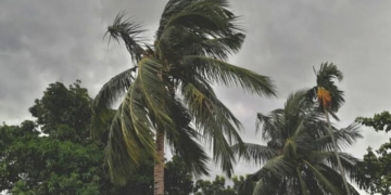 ​Cyclone Arnab Weakens into Deep Depression over South Odisha; IMD Issues Red and Orange Alerts for Severe Rainfall