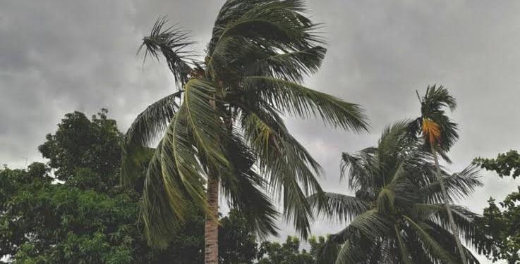 Cyclone Arnab Weakens into Deep Depression over South Odisha; IMD Issues Red and Orange Alerts for Severe Rainfall
