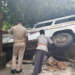 Dhauli road accident