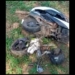 Dhenkanal hit-and-run accident