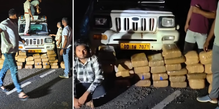 Koraput Ganja Seizure